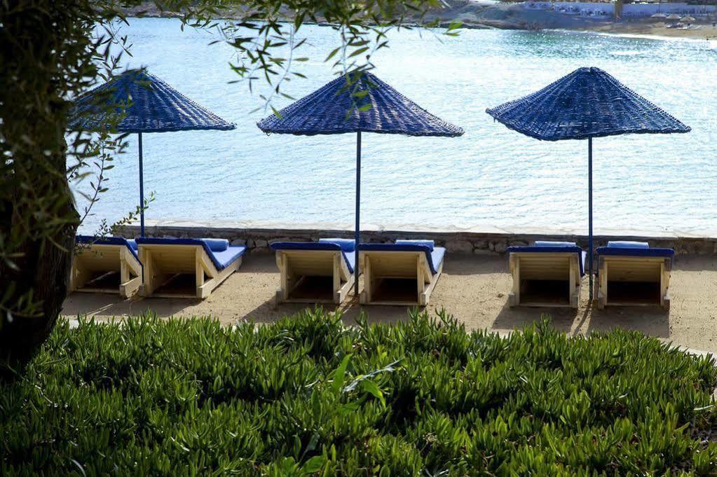 Maya Bistro Hotel & Beach Siğacık Kültér fotó